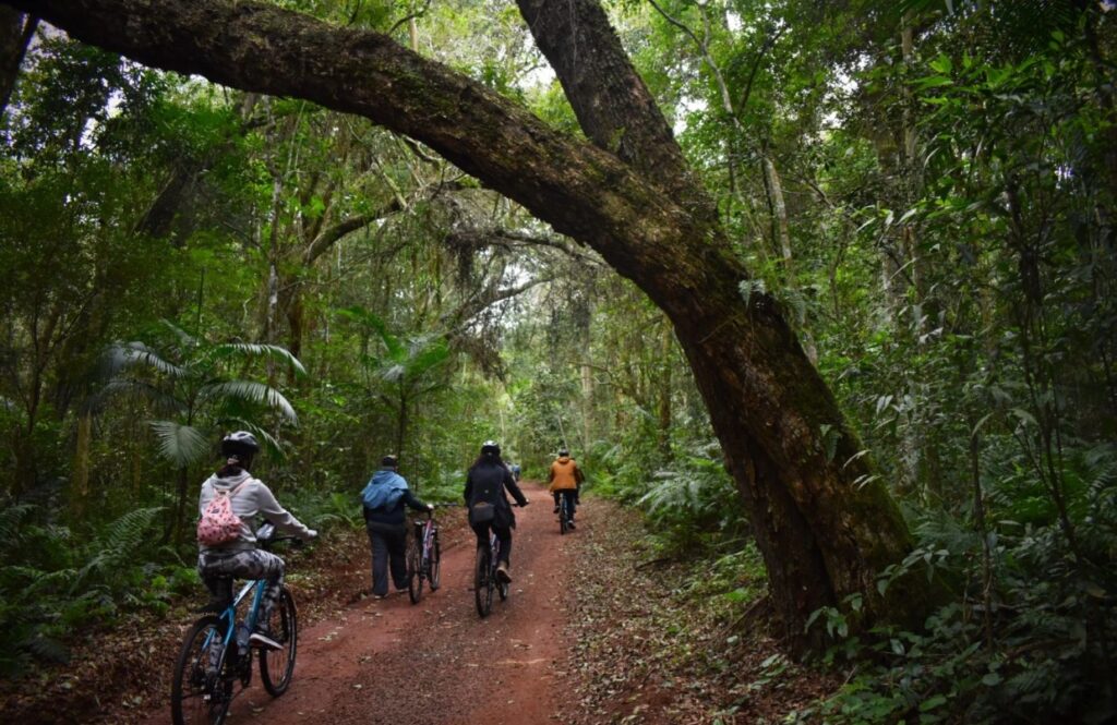 Trilha do Poço Preto | programação de férias em Foz do Iguaçu