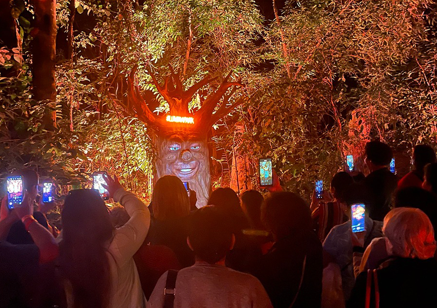 Capa do Blog: Passeios Noturnos em Foz do Iguaçu - Lumina Park - Wonder Park Foz