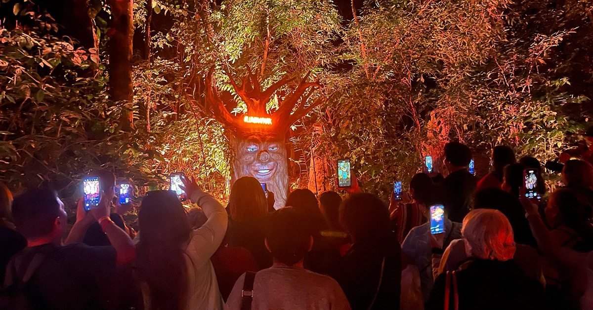 Capa do Blog: Passeios Noturnos em Foz do Iguaçu - Lumina Park - Wonder Park Foz