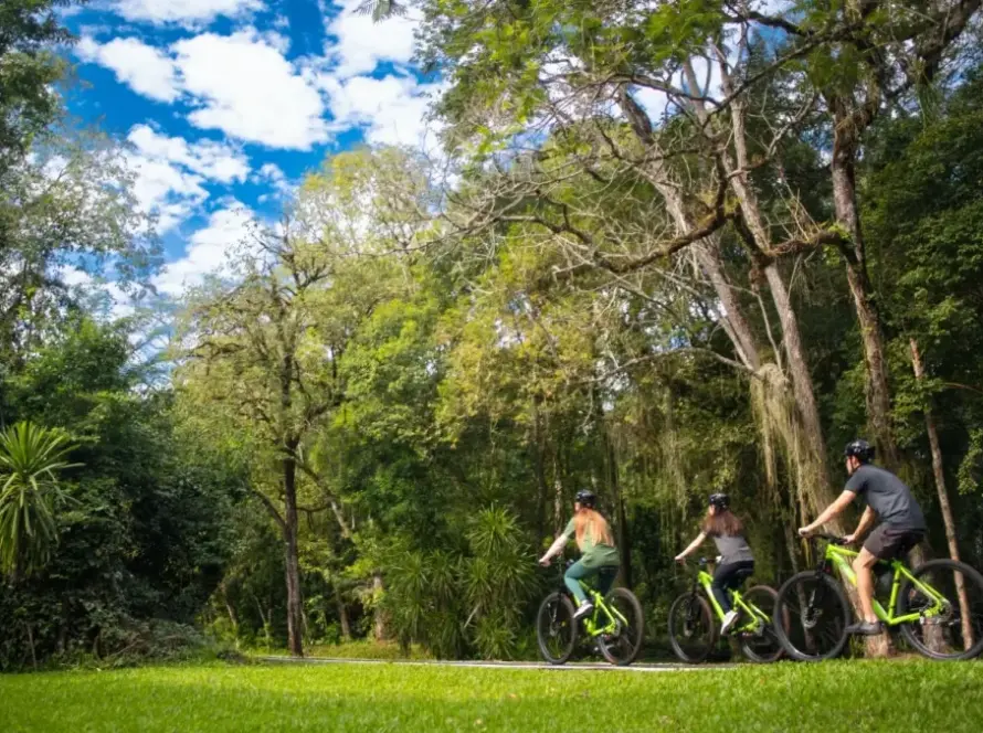 Capa do blog: Turismo de natureza e tranquilidade em Foz do Iguaçu - trilha do poço preto