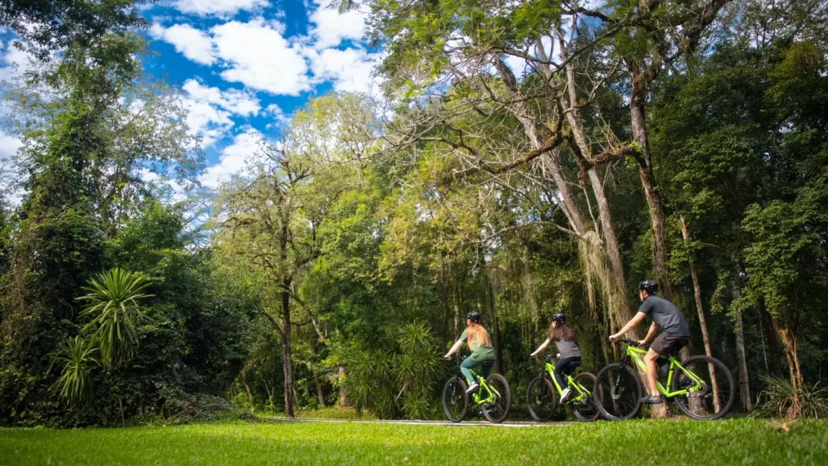 Capa do blog: Turismo de natureza e tranquilidade em Foz do Iguaçu - trilha do poço preto