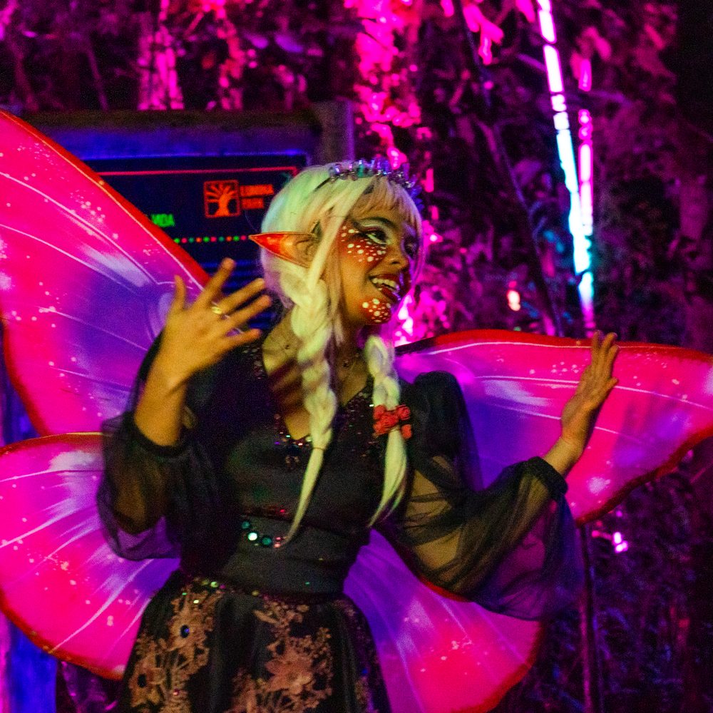 Fada personagem na trilha iluminada do Lumina Park