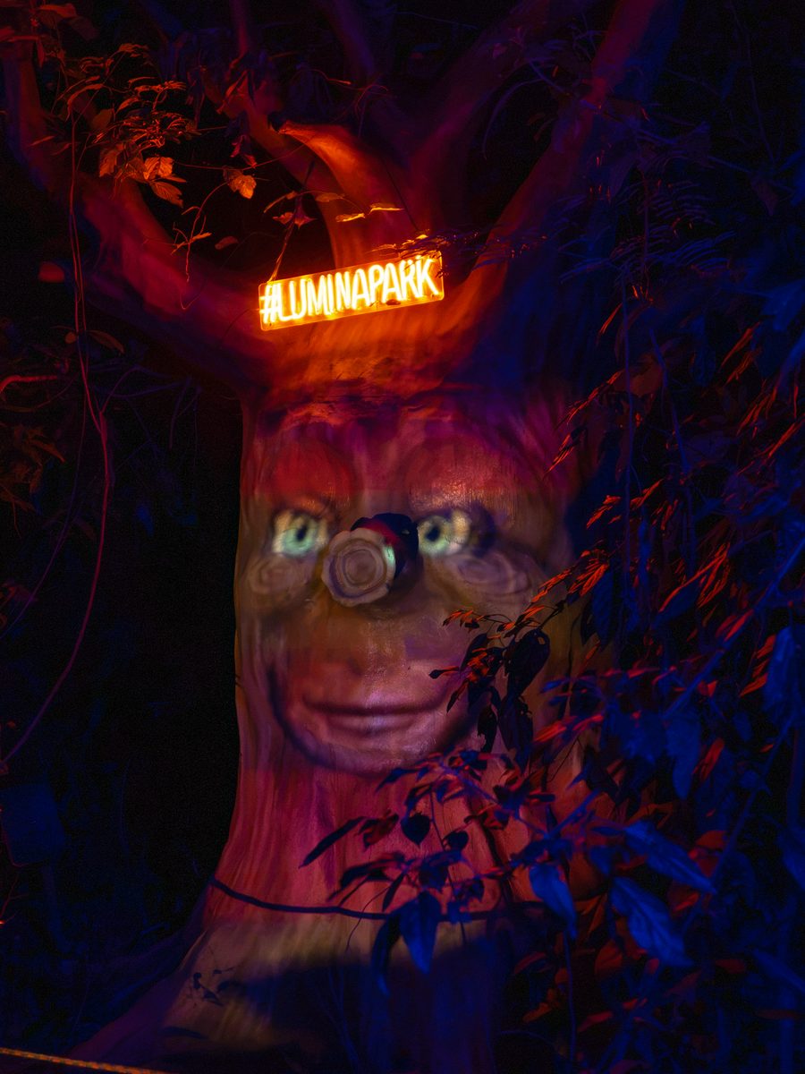 Árvore falante iluminada na trilha do Lumina Park